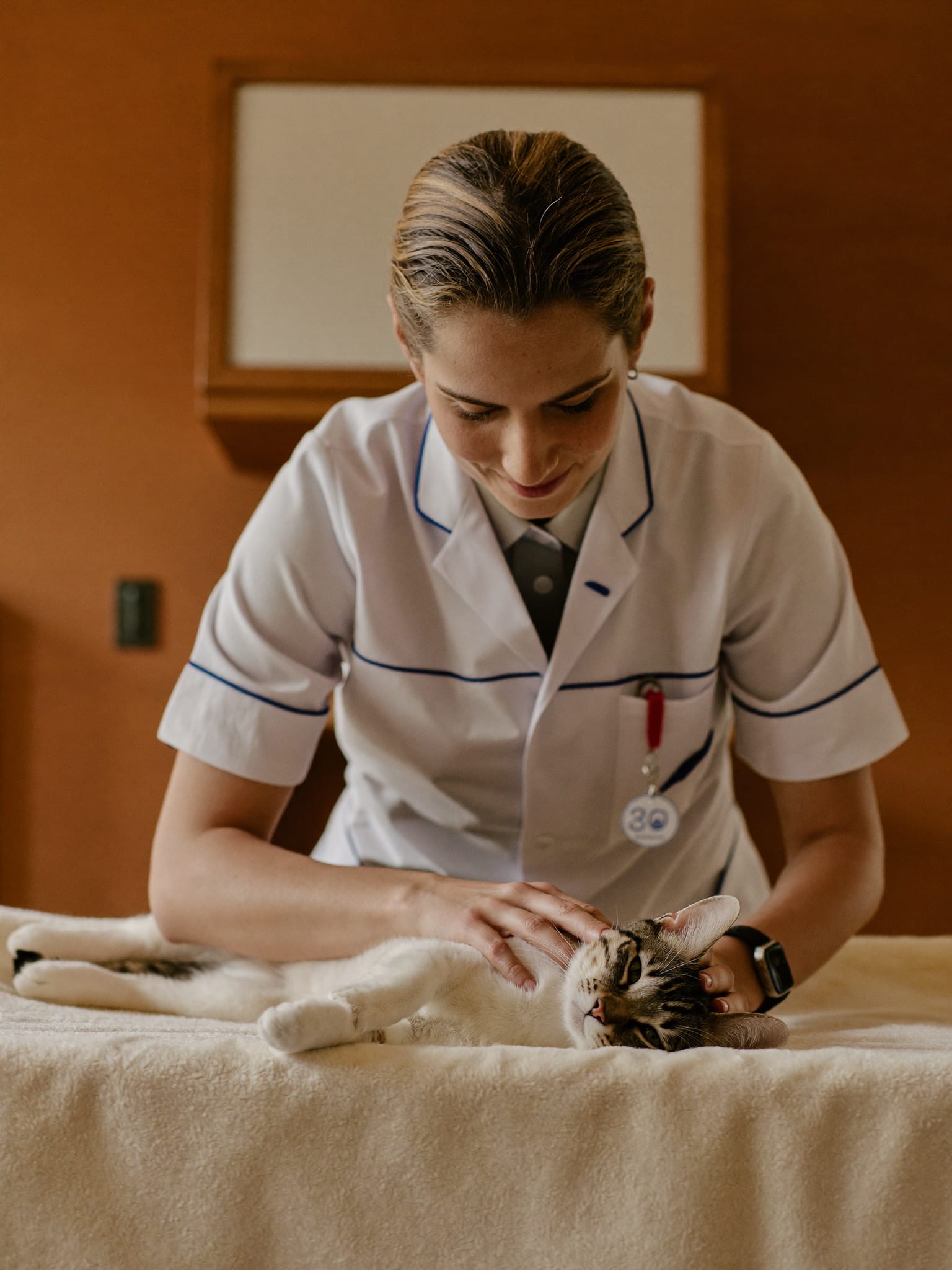 Verzorging en nazorg door het team van Dierenkliniek Argos